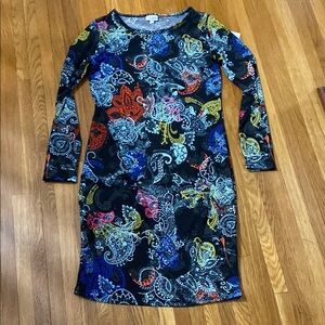 LuLaRoe Multicolor Paisley Dress